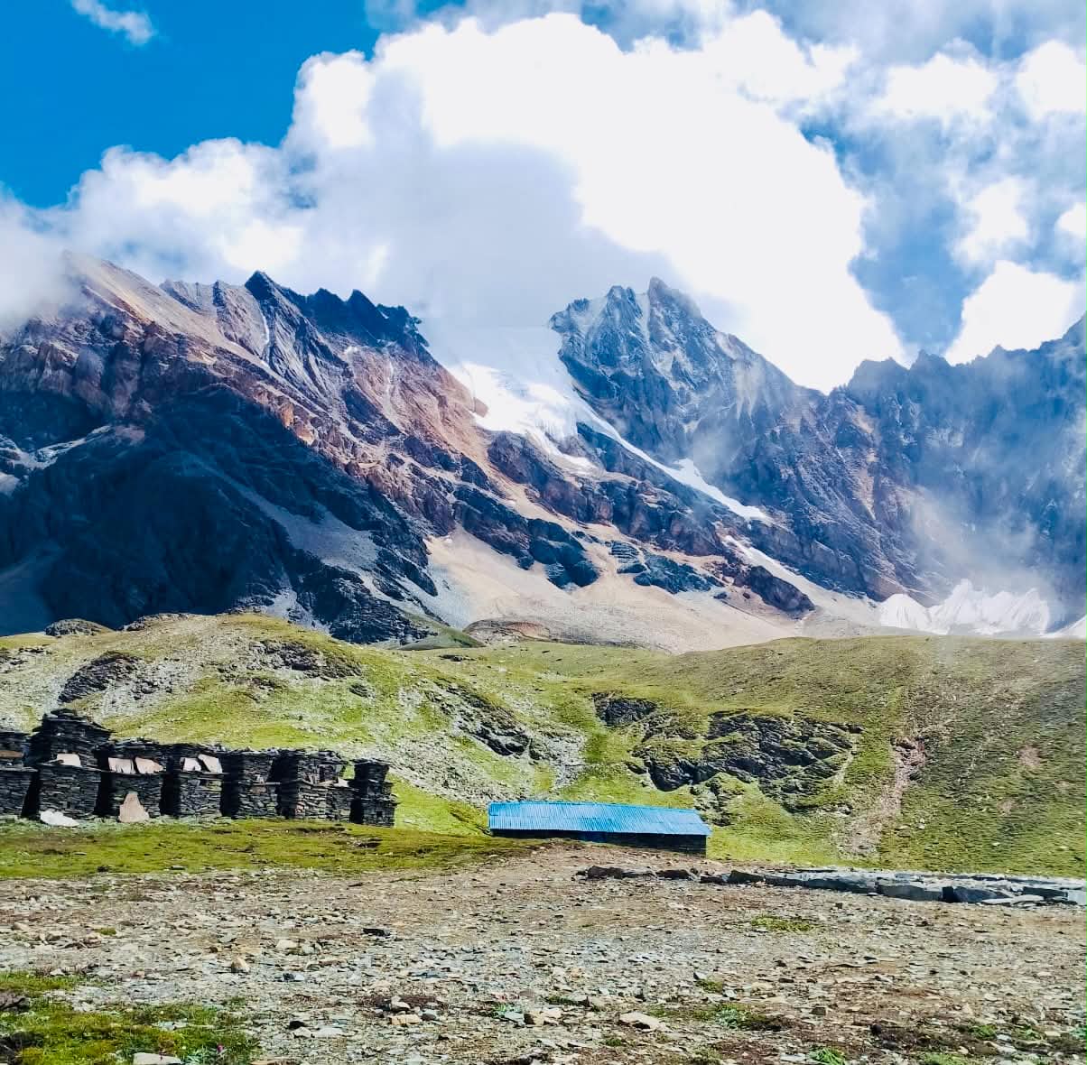 हिउँ घट्दा यार्सागुम्बा सङ्कटमा