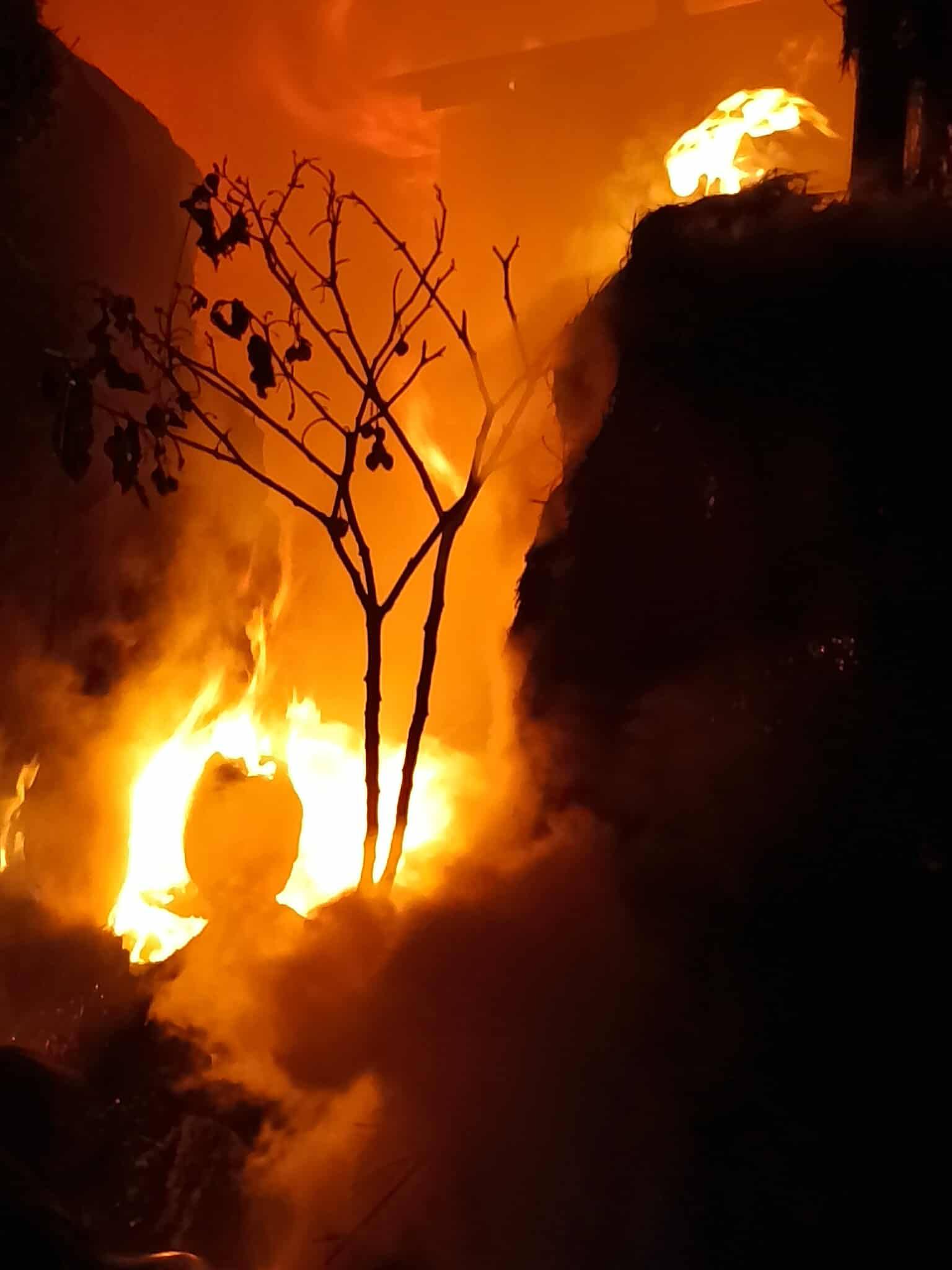 ६ तस्बीरमा रिपको आगलागी (फोटो फिचर)