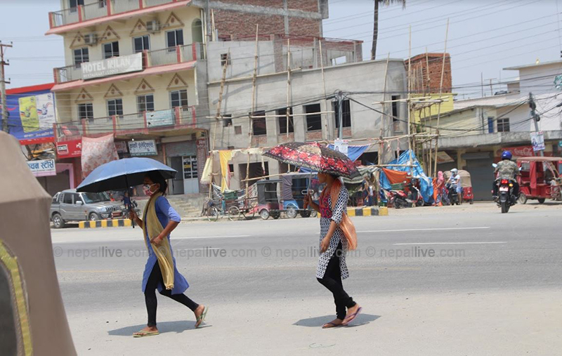 मौशम पूर्वानुमहाशाखाको विशेष बुलेटिनः तातो हावाको लहर चल्ने भएपछि लुम्बिनी र सुदूरपश्चिममा सावधानी अपनाउन आग्रह