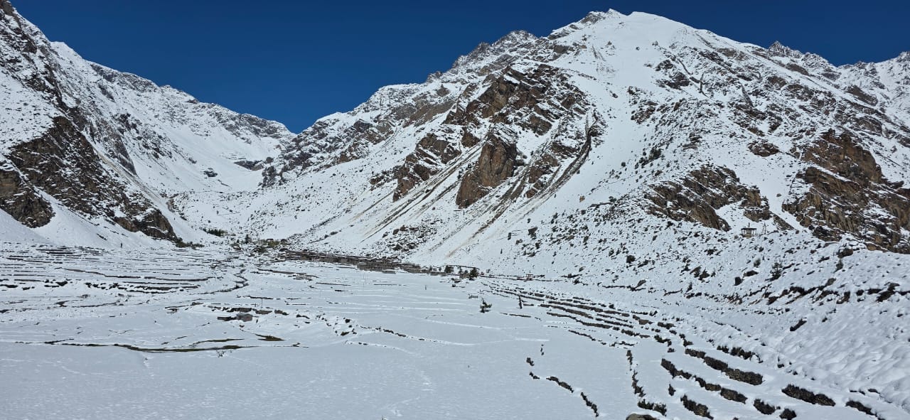 वर्षासँगैको हिमपातले लिमीका ३५० बढि पशुवस्तु पटनमै थुनिए 