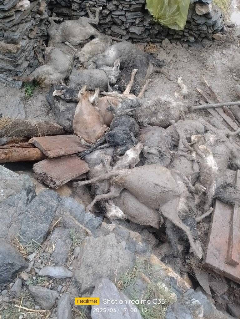 हुम्लाको अदानचुलीमा बाढी, लाखौंको क्षतीः पुरा विवरण आउदैं