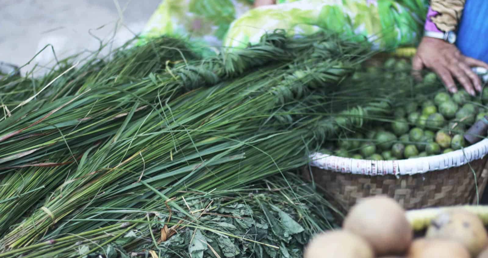 आज बुबाको मुख हेर्ने दिनः कोही बा को सम्झनामा गोकर्णेश्वर, कोही सन्ताको पर्खाइमा वृद्धाश्रममा