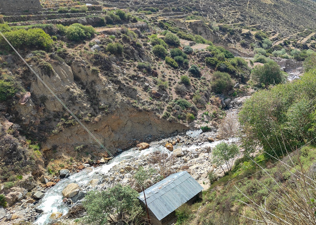 Halji---1788973707.jpg